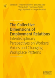 Image for The collective dimensions of employment relations: interdisciplinary perspectives on workers' voices and changing workplace patterns