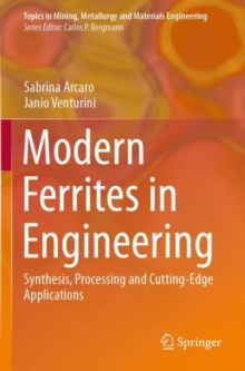 Image for Modern Ferrites in Engineering