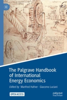 Image for The Palgrave handbook of international energy economics
