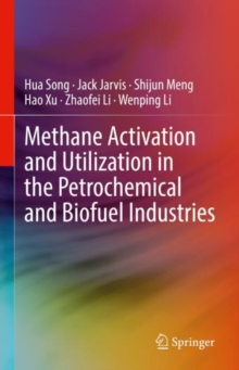 Image for Methane Activation and Utilization in the Petrochemical and Biofuel Industries