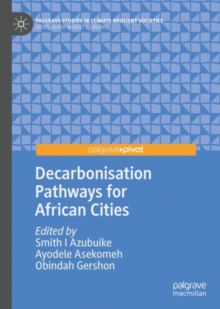 Image for Decarbonisation pathways for African cities