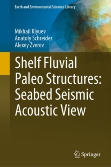 Image for Shelf fluvial paleo structures  : seabed seismic acoustic view