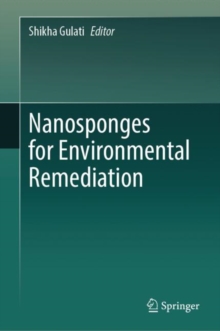 Image for Nanosponges for Environmental Remediation