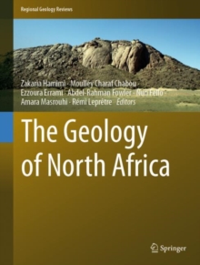 Image for The geology of North Africa