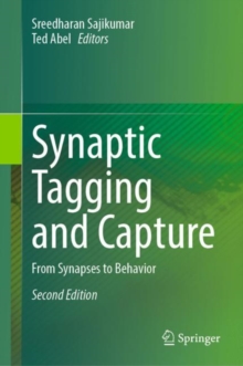 Image for Synaptic Tagging and Capture