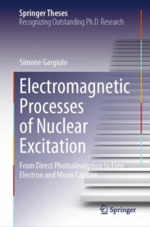 Image for Electromagnetic Processes of Nuclear Excitation