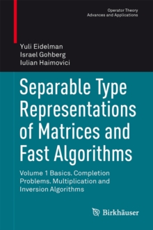 Image for Separable Type Representations of Matrices and Fast Algorithms