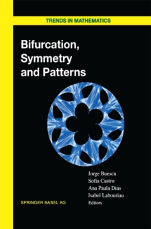 Image for Bifurcation, Symmetry and Patterns