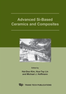 Image for Advanced Si-Based Ceramics and Composites