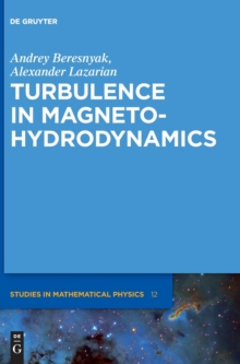 Image for Turbulence in magnetohydrodynamics