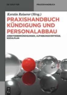 Image for Praxishandbuch Kundigung und Personalabbau