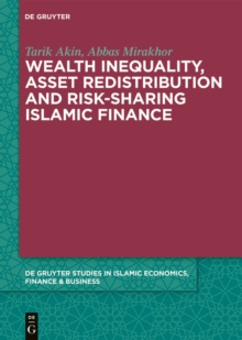 Image for Wealth Inequality, Asset Redistribution and Risk-Sharing Islamic Finance