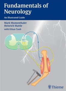 Image for Fundamentals of Neurology : An Illustrated Guide