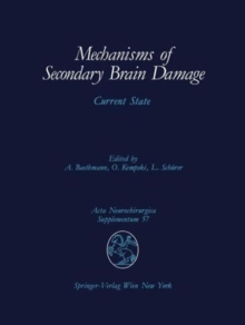Image for Mechanisms of Secondary Brain Damage : Current State