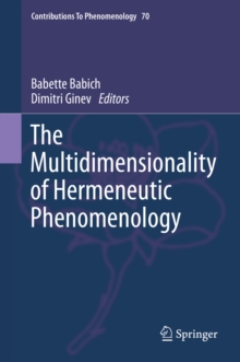 Image for Multidimensionality of Hermeneutic Phenomenology