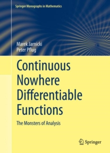Image for Continuous Nowhere Differentiable Functions