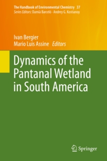 Image for Dynamics of the Pantanal wetland in South America
