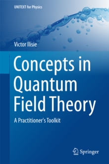 Image for Concepts in quantum field theory: a practitioner's toolkit