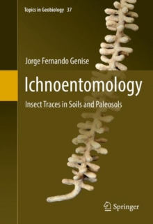 Image for Ichnoentomology: Insect Traces in Soils and Paleosols