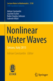 Image for Nonlinear water waves: Cetraro, Italy 2013