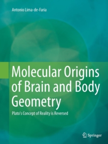 Image for Molecular origins of brain and body geometry  : Plato's concept of reality is reversed