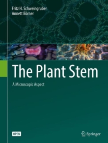 Plant Stem