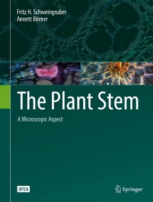 Image for Plant Stem: A Microscopic Aspect