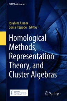 Image for Homological Methods, Representation Theory, and Cluster Algebras