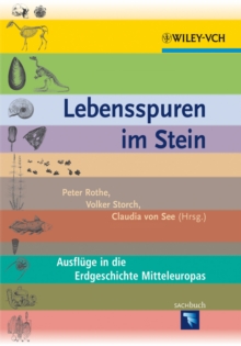 Image for Lebensspuren im Stein