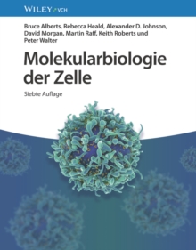 Image for Molekularbiologie der Zelle