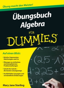 Image for Ubungsbuch Algebra fur Dummies