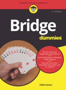 Bridge fur Dummies