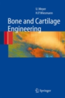 Image for Bone and cartilage engineering