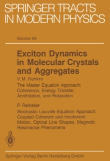 Image for Exciton Dynamics in Molecular Crystals and Aggregates.