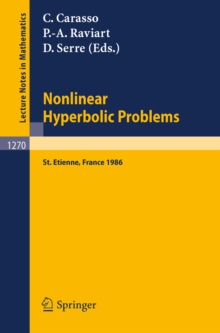 Image for Nonlinear Hyperbolic Problems: Proceedings of an Advanced Research Workshop Held in St. Etienne, France, January 13-17, 1986