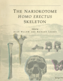Image for The Nariokotome Homo Erectus Skeleton