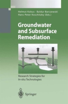 Image for Groundwater and Subsurface Remediation
