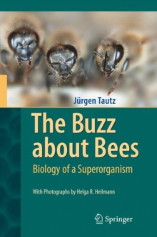 Image for The buzz about bees  : biology of a superorganism