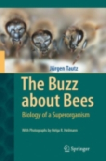 Image for The buzz about bees: biology of a superorganism