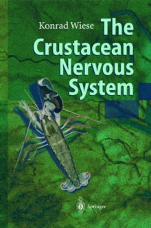 Image for The Crustacean Nervous System