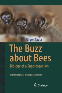 Image for The buzz about bees  : biology of a superorganism