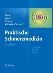 Image for Praktische Schmerzmedizin: Interdisziplinare Diagnostik - Multimodale Therapie