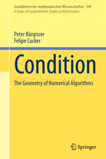 Image for Condition: the geometry of numerical algorithms