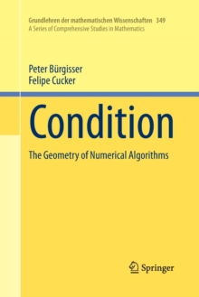Image for Condition : The Geometry of Numerical Algorithms