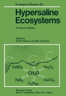 Image for Hypersaline Ecosystems : The Gavish Sabkha