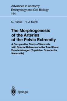 Image for Morphogenesis of the Arteries of the Pelvic Extremity: A Comparative Study of Mammals with special Reference to the Tree Shrew Tupaia belangeri (Tupaiidae, Scandentia, Mammalia)