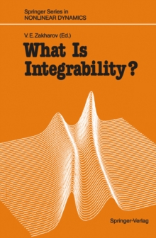 Image for What Is Integrability?