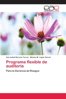 Image for Programa flexible de auditoria