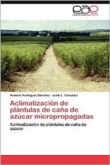 Image for Aclimatizacion de Plantulas de Cana de Azucar Micropropagadas