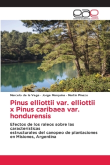 Image for Pinus elliottii var. elliottii x Pinus caribaea var. hondurensis